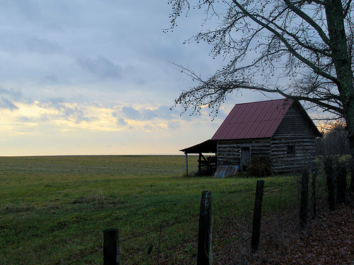 Pasture Land in Campbell County